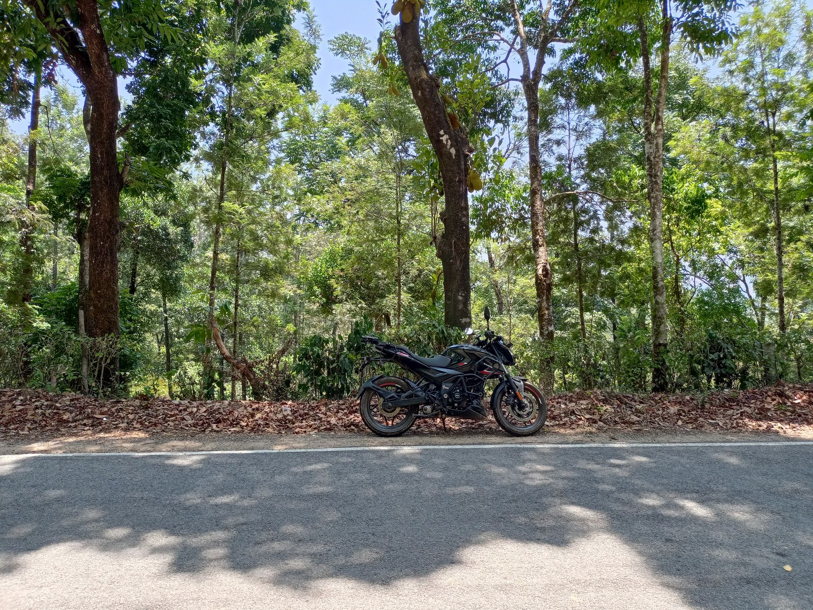 Solo trip to Rani Jhari: A Memorable Journey