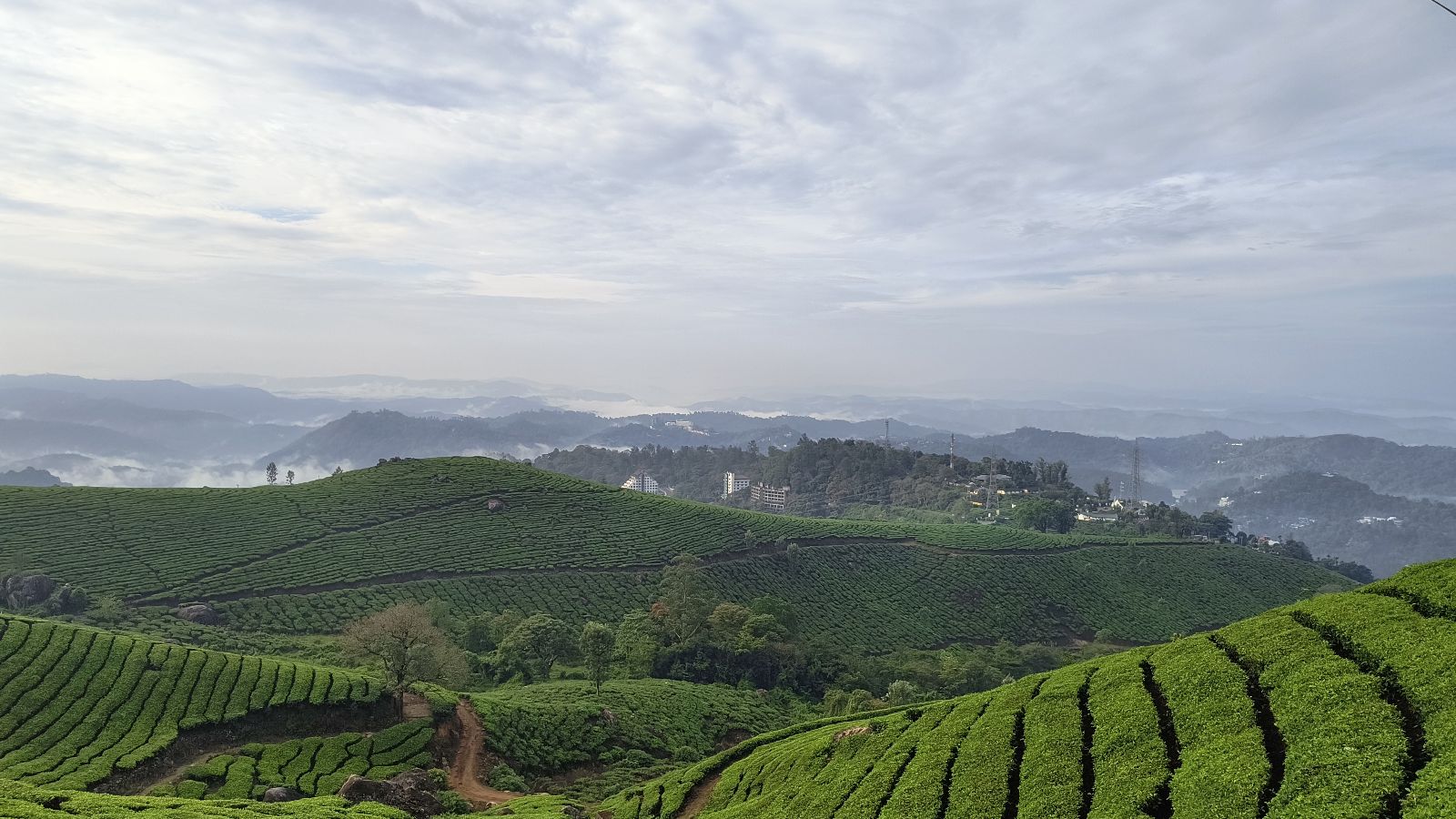 Visit Munnar: A Journey from Mangalore